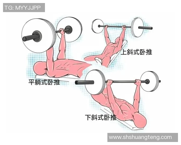 哑铃平板卧推的正确姿势与技巧解析助你提升训练效果